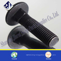 Carriage Bolt with Black Surface